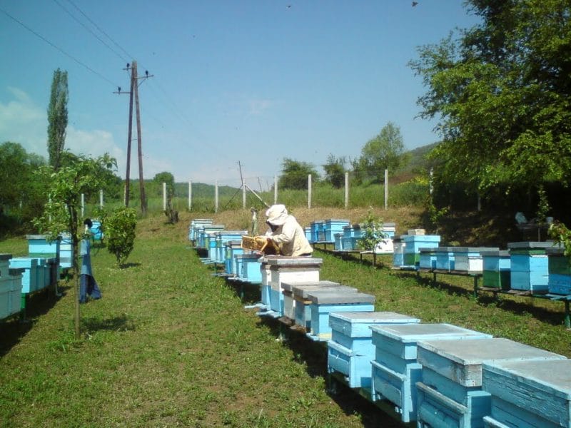 Albania Honey Trail