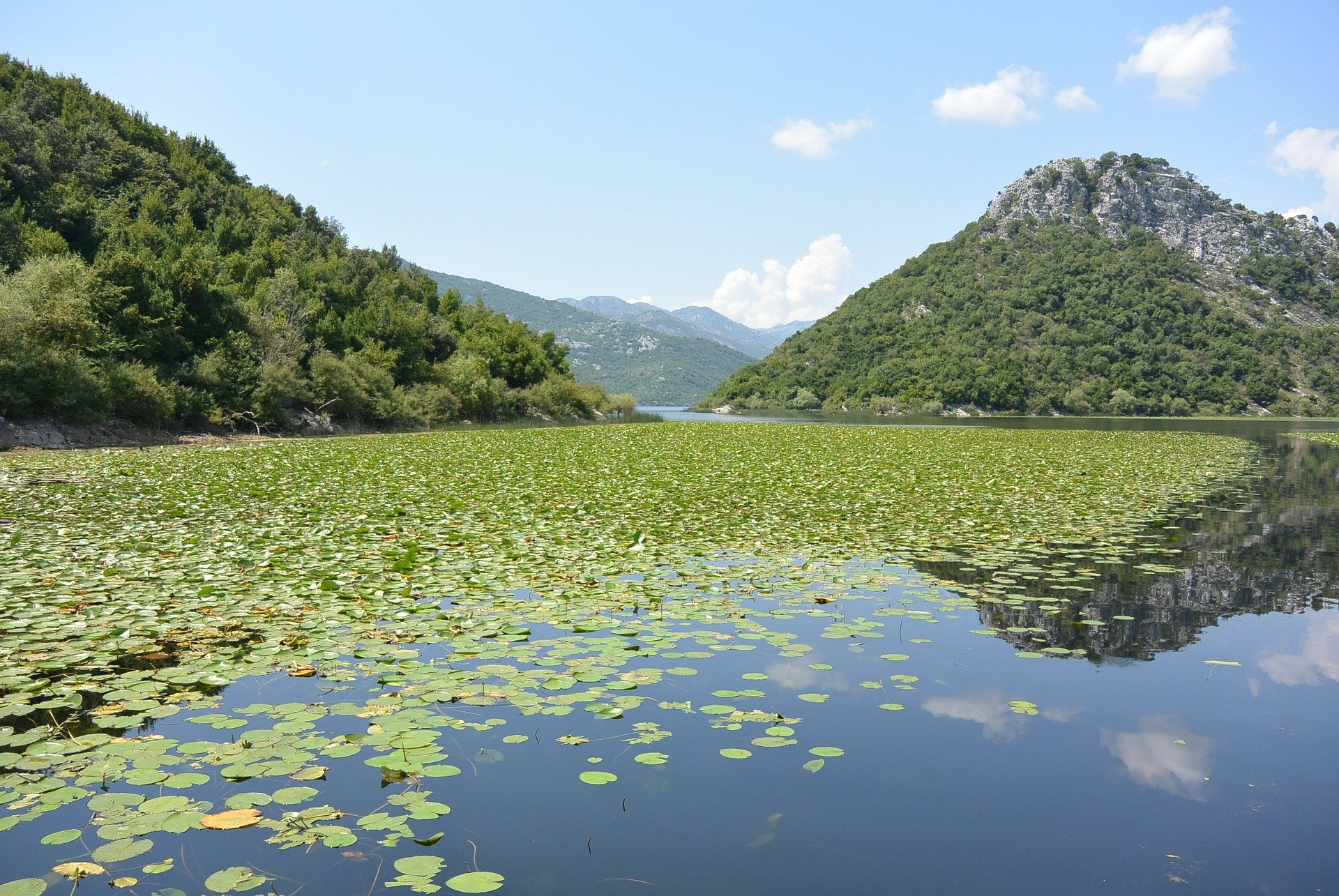 Best Things To Do In Lake Skadar - Adventure And Travel | Sondor Travel