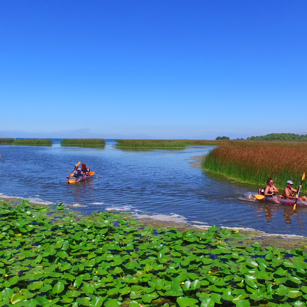 Kayak Lake Skadar