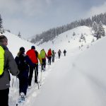 snowshoeing the Alps